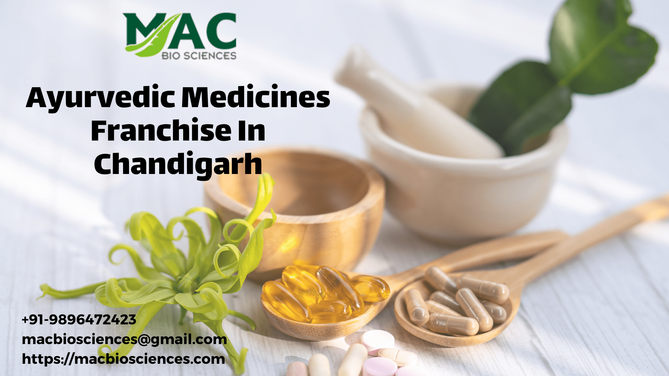 Ayurvedic Medicines Franchise In Chandigarh