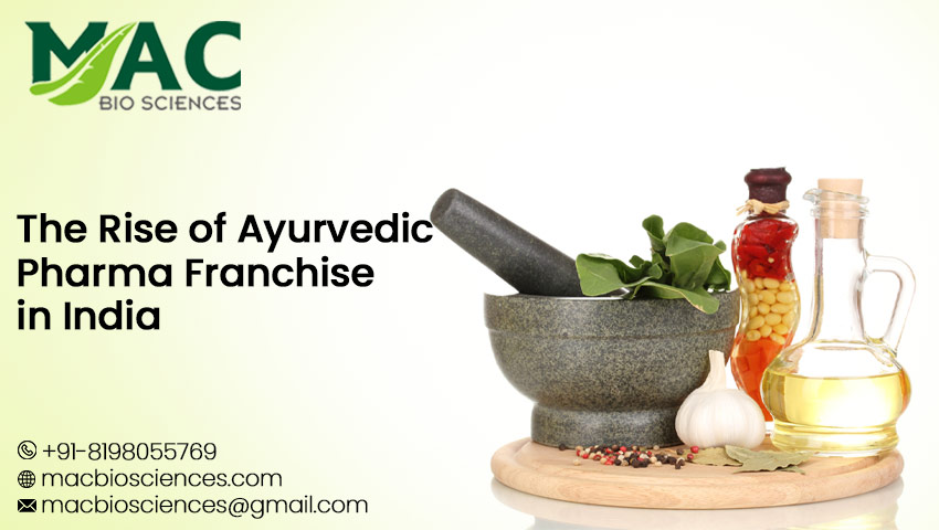 Ayurvedic pharma franchise