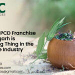 Ayurvedic PCD Franchise in Chandigarh is the Next Big Thing in the Healthcare Industry