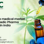 Explore the Medical Market with Ayurvedic Pharma Franchise in India